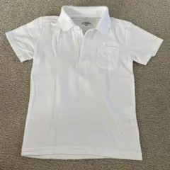 Item thumbnail for item 56ecf51e-d741-491b-9adf-b33f339f09af