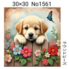 ダイヤモンドアートキット　No1561