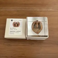 【未使用】ウサギノネドコ sola cube ソラキューブ オニグルミ 4cm