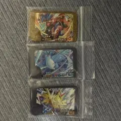 ポケモンフレンダ　コライドン他