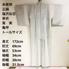 【未使用　トールサイズ】塩沢紬　蔦　実　亀甲　単衣　裄丈69身丈172