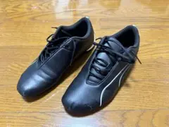 Item thumbnail for item 56cafc57-0e21-4e3a-9aa9-bf331f747502