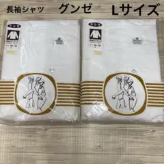 【新品】グンゼ　GUNZE 長袖ボタン付き　2枚セット　Lサイズ