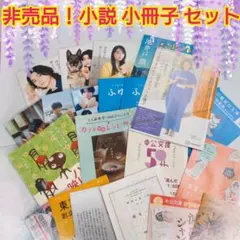 試し読みもあるよ！非売品！小説 小冊子 セット