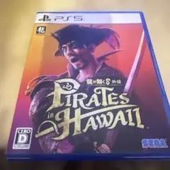 Pirates in Hawaii PS5 パッケージ版