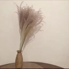 ドライフラワーススキ