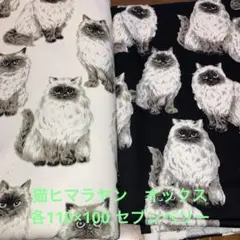 猫柄 綿生地 ホワイト ブラック オックス 各110×100 ヒマラヤン