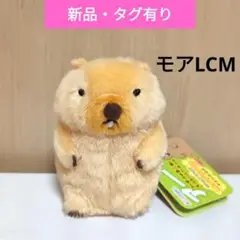 マーモットのもっとっと モア LMC ぬいぐるみマスコット　ボバくん