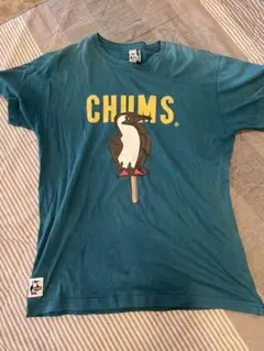 CHUMS ティール Tシャツ Mサイズ