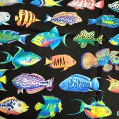 断捨離009◆ロバートカフマン 熱帯魚 生地