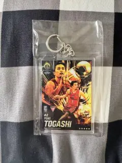 Bリーグチャンピオンシップオンラインくじ　C賞　富樫勇樹
