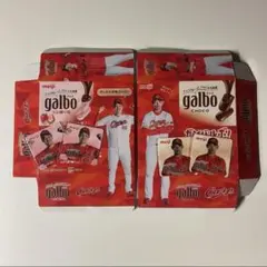 galbo ガルボ 広島東洋カープ 床田 秋山