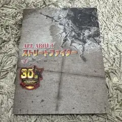 ストリートファイター 30th アニバーサリーコレクションの本のみ