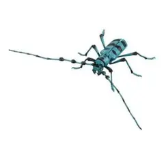 ③ いきもの大図鑑アドバンス ルリボシカミキリ ガチャ