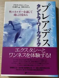 プレアデス タントラ・ワークブック プレアデス タントラ・ワークブック 性エネルギーを通して魂に