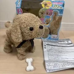 ココ　さかだちして　言葉がわかるペット