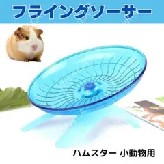 Item thumbnail for item bd681b17-295e-4186-ba4f-396ded6ad542