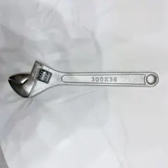 Item thumbnail for item 289c56ab-23c9-4f37-96bf-ac8e4ffcee7a