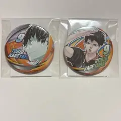 ハイキュー　ファンパーク　コレクション缶バッジ　影山飛雄