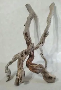 Item thumbnail for item a971b83a-655f-4328-b0ae-bb5cdb537488