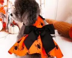 Item thumbnail for item 5f689097-0f4f-45a6-a92e-6a0ee43c2f70