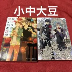 BL小説 小中大豆「箱入り息子(バージン)は悪い男を誑かす」他