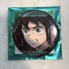 鬼滅の刃　時透無一郎　ものがたる眼差し　缶バッジ　映画　無限城　劇場版　鬼滅ノ刃