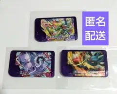 3枚セット ミュウツー ルカリオ カミツオロチ ポケモンフレンダ ベストタッグ