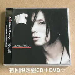 【美品】Acid Black Cherry シングル CD＋DVD Acid Black Cherry『優しい嘘』初回限定盤CD＋DVD☆帯付美品