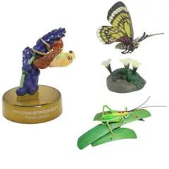 K etiさんリクエスト品❗️蝶標本　ウスバセット Amazon.co.jp: 2頭入り ウスバシロチョウ & 蝶 標本