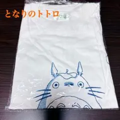 Item thumbnail for item 05c96877-282a-445b-9dc9-13eb46133970