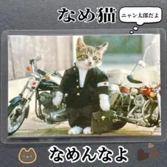 なめ猫　なめんなよ　ブロマイド ニャン太郎 全日本暴猫連合なめんなよ