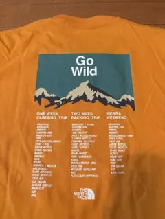 早い者勝ち‼️ノースフェイス　north face 半袖tシャツ　オレンジ　M