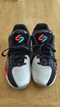 NIKE ナイキ　JORDAN LUKA 4 GS