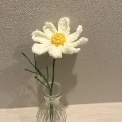 【枯れない花】コスモス　白