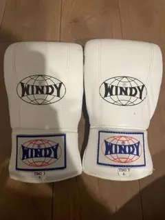 WINDY パンチンググローブ TBG 1 Lサイズ ホワイト