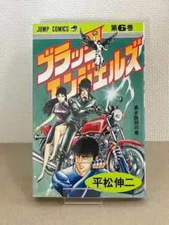 美品　単行本　ブラック・エンジェルズ　平松伸二　第6巻