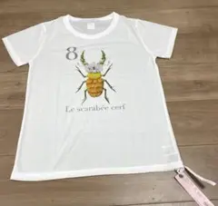 インセクトガーデン　大人サイズ　再生ペットボトルTシャツ　くわがた