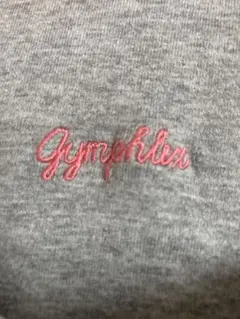Gymphlex ジムフレックス　ピンクのロゴの刺繍Tシャツカットソー