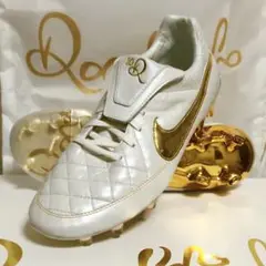 NIKE ナイキ ティエンポ ロナウジーニョ HG(ブラウン) 315363