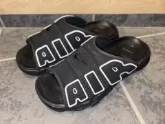 Item thumbnail for item 22d4e27f-dbb3-4f70-b7f0-e0a0b9ad6a54