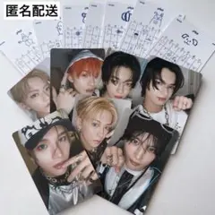 【匿名配送】aoen 通常盤 トレカ コンプセット
