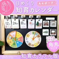 【カラフル】前向き日めくりカレンダー（A4）知育版 視覚支援 保育教材 2025