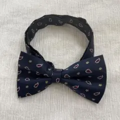 Item thumbnail for item 4d65232e-5089-4414-8d60-62ea924a6f1f