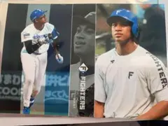 ファイターズ　万波中正　ミニフォトシークレット