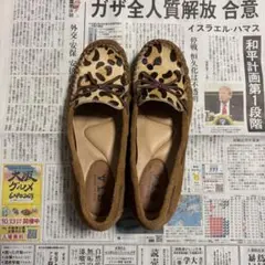 Item thumbnail for item 0f5a2532-2466-44bf-8fdf-1a607b28eb9b