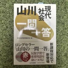 山川 一問一答 現代社会