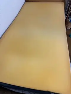 トゥルースリーパー　シングルサイズ　専用カバー付き