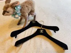 ❤️CHANEL★シャネル★ロゴ入りハンガー 2本セット