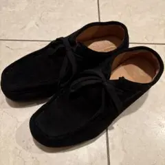 Item thumbnail for item 6ecc76d6-a98d-44df-8143-1a275bbe728a